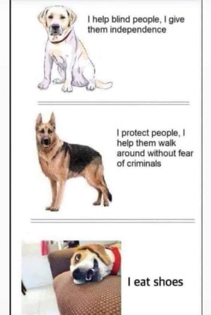 FB_IMG_1657795441485.jpg