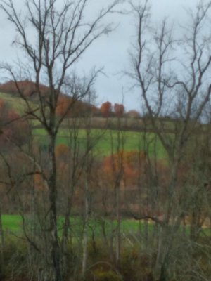 20221024_170858.jpg