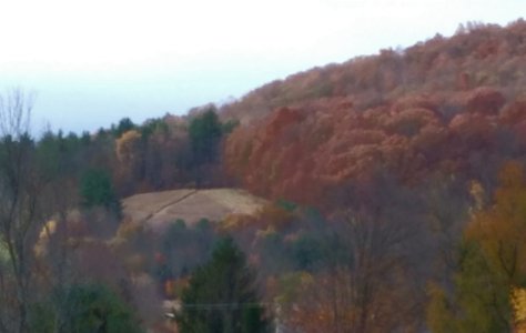 20221024_170832.jpg