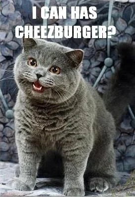 HAPPYCAT_I_CAN_HAS_CHEEZBURGER.webp