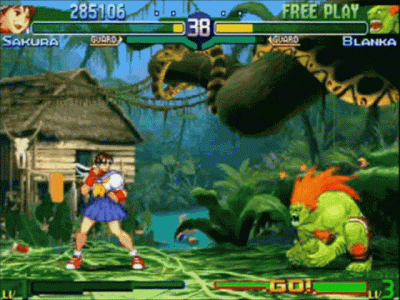streetfighter.gif