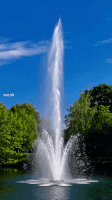new-year-fountain.gif