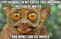 RedBull Coffee.webp