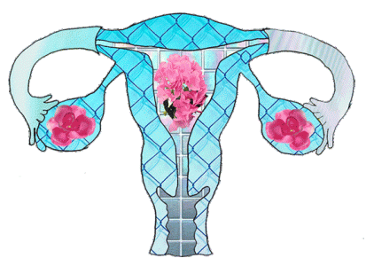 tumblr-uterus.gif