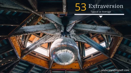 Jordan Peterson Big 5 Extroversion.webp