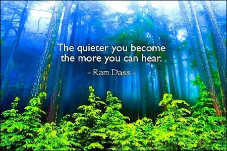 quiet.webp