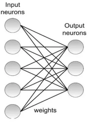 network.webp