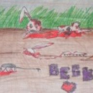 Bexx