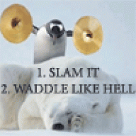Pengy Dave