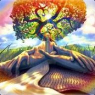 drsolace