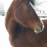 aureliusandoinky