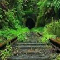 Verdant