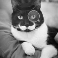 The Cat In The Hat