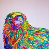 RavenSky