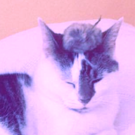 Azzie