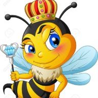 QueenB
