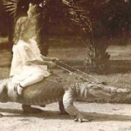 gator