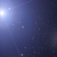CorLeonis