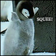 Pengy