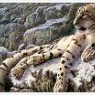 SnowLeopard