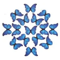 Evan44