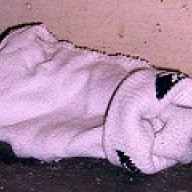 That One Lost Sock