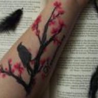 black.raven