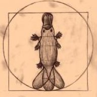 Platypus-Books