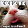 hooman