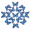 Evan44