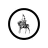 Anglia Knight